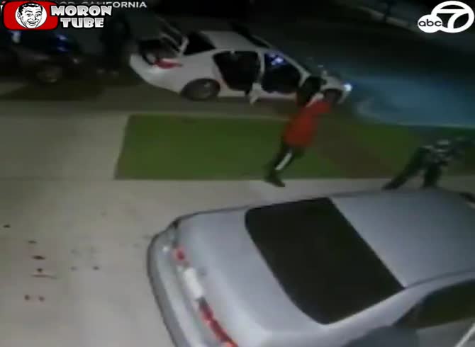 Video :A gang was captured stealing a catalytic converter and damaging an automobile